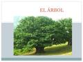 EL ÁRBOL. Definición Es un símbolo muy común para relacionar el cielo con la tierra. El árbol se encuentra también entre los símbolos de ascensión al.