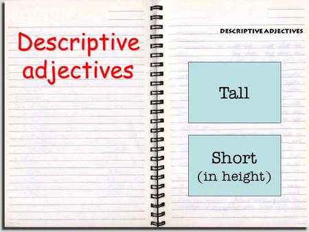 Descriptive adjectives Alto Alta Tall Bajo Baja Short (in height)