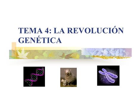 TEMA 4: LA REVOLUCIÓN GENÉTICA. 1. La genética ¿Qué es? Una rama de la biología que estudia todo lo relacionado con la herencia biológica, los genes y.
