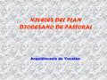 NIVELES DEL PLAN DIOCESANO DE PASTORAL Arquidiócesis de Yucatán.