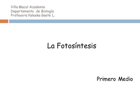 La Fotosíntesis Primero Medio