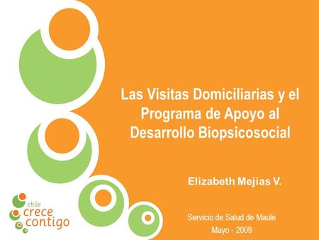 Las Visitas Domiciliarias y el Programa de Apoyo al Desarrollo Biopsicosocial Servicio de Salud de Maule Mayo - 2009 Elizabeth Mejías V.