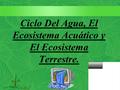 Ciclo Del Agua, El Ecosistema Acuático y El Ecosistema Terrestre.
