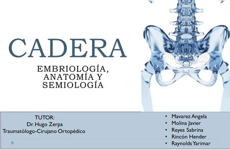 cadera EMBRIOLOGÍA, Anatomía y semiología Mavarez Angela TUTOR: