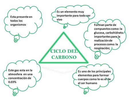 CICLO DEL CARBONO Es un elemento muy importante para todo ser vivo