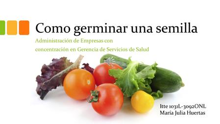 Como germinar una semilla Administración de Empresas con concentración en Gerencia de Servicios de Salud Itte 1031L-3092ONL María Julia Huertas.