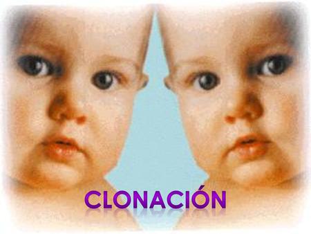  Cuando hablamos de la creación de un individuo genéticamente igual a otro, como si se tratara de dos hermanos gemelos, estamos hablando de la clonación.