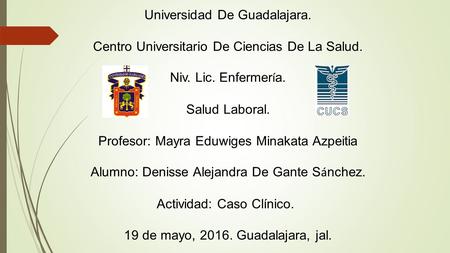 Universidad De Guadalajara. Centro Universitario De Ciencias De La Salud. Niv. Lic. Enfermer í a. Salud Laboral. Profesor: Mayra Eduwiges Minakata Azpeitia.