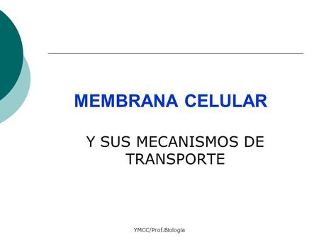 YMCC/Prof.Biología MEMBRANA CELULAR Y SUS MECANISMOS DE TRANSPORTE.