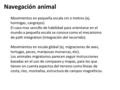 Movimientos en pequeña escala cm o metros (ej. hormigas, cangrejos) El caso mas sencillo de habilidad para orientarse en el mundo a pequeña escala se conoce.