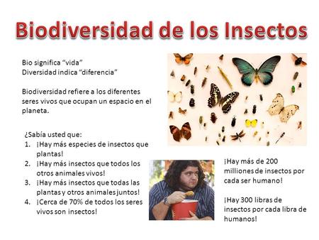 Bio significa “vida” Diversidad indica “diferencia” Biodiversidad refiere a los diferentes seres vivos que ocupan un espacio en el planeta. ¿Sabía usted.