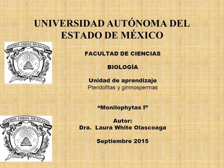 UNIVERSIDAD AUTÓNOMA DEL ESTADO DE MÉXICO