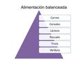 CarnesCerealesLácteosPescadoFrutaVerdura Alimentación balanceada.