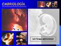 EMBRIOLOGÍA SISTEMA NERVIOSO.