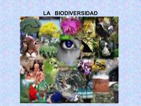 LA BIODIVERSIDAD. BIODIVERSIDAD Es también llamada diversidad biológica, es un termino por el cual se hace referencia a la amplia variedad de seres vivos.