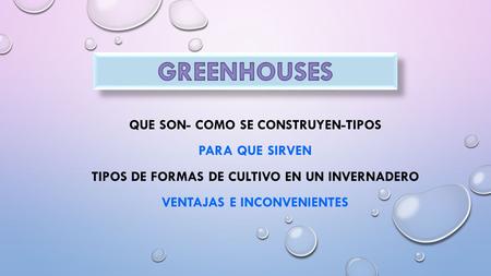 QUE SON- COMO SE CONSTRUYEN-TIPOS PARA QUE SIRVEN TIPOS DE FORMAS DE CULTIVO EN UN INVERNADERO VENTAJAS E INCONVENIENTES.