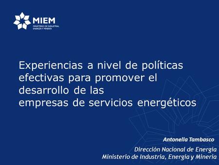 Dirección Nacional de Energía Ministerio de Industria, Energía y Minería Experiencias a nivel de políticas efectivas para promover el desarrollo de las.
