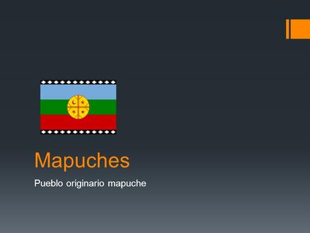 Pueblo originario mapuche