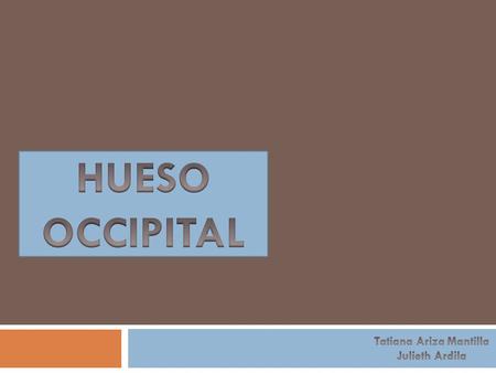 Se une a los huesos parietales a lo largo de la sutura lamboidea y constituye la parte posterior y la base del cráneo, tiene una gran abertura en su.