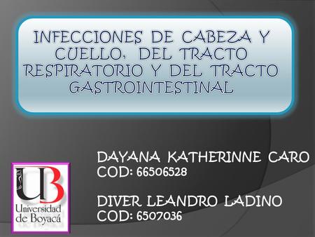 DAYANA KATHERINNE CARO COD: 66506528 DIVER LEANDRO LADINO COD: 6507036.
