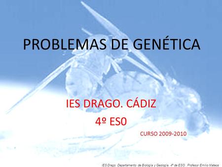 PROBLEMAS DE GENÉTICA IES DRAGO. CÁDIZ 4º ES0 CURSO 2009-2010 IES Drago. Departamento de Biología y Geología. 4º de ESO. Profesor Emilio Mateos.