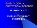 GINECOLOGIA Y OBSTETRICIA FORENSE