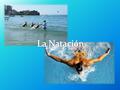 La Natación Estilos de competencia FINA Nadadores Nadadores venezolanos.