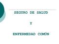 SEGURO DE SALUD Y ENFERMEDAD COMÚN. 1.- Nociones básicas de la estructura del Nuevo Sistema Nacional Integrado de Salud (S.N.I.S) 2.- Seguro de salud.