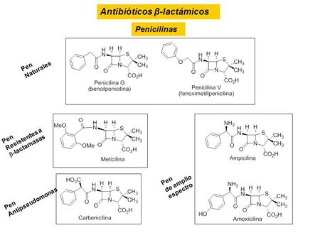 Antibióticos β-lactámicos Penicilinas Pen Naturales Pen Resistentes a  -lactamasas Pen Antipseudomonas Pen de amplio espectro.