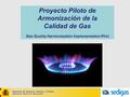 1 Proyecto Piloto de Armonización de la Calidad de Gas Gas Quality Harmonisation Implementation Pilot Ministerio de Industria, Energía y Turismo Subdirección.