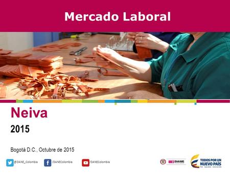 @DANE_Colombia/DANEColombia Mercado Laboral Neiva 2015 Bogotá D.C., Octubre de 2015.