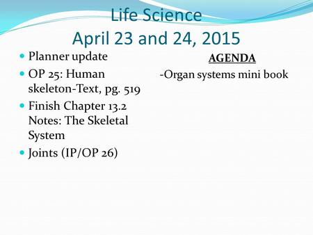 Life Science April 23 and 24, 2015 Planner update OP 25: Human skeleton-Text, pg. 519 Finish Chapter 13.2 Notes: The Skeletal System Joints (IP/OP 26)