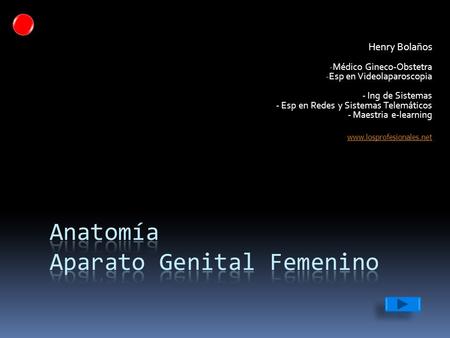Anatomía Aparato Genital Femenino