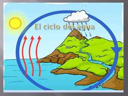  3°: Grado  Escuela: Santa Rosa de Lima  Establecer la importancia del ciclo hidrológico para los seres vivos.