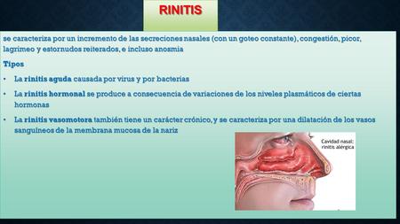 RINITIS se caracteriza por un incremento de las secreciones nasales (con un goteo constante), congestión, picor, lagrimeo y estornudos reiterados, e incluso.