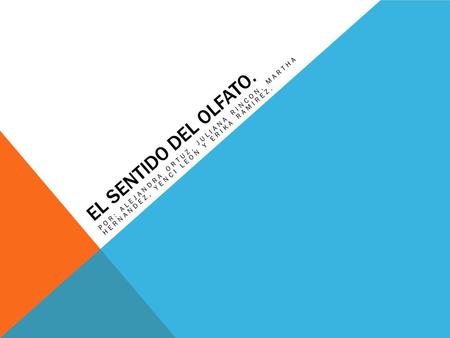 El sentido del olfato. Por: alejandra ortuz, juliana rincon, martha hernandez, yenci leon y erika ramirez.