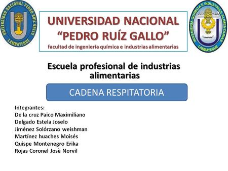 UNIVERSIDAD NACIONAL “PEDRO RUÍZ GALLO” facultad de ingeniería química e industrias alimentarias Escuela profesional de industrias alimentarias Escuela.