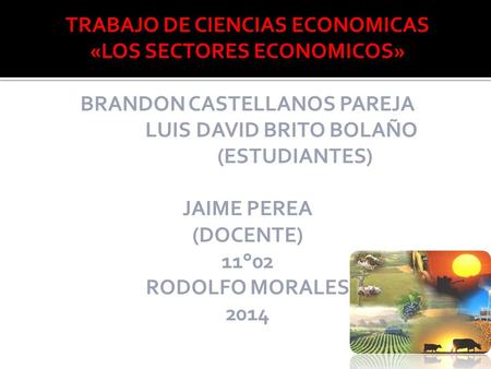 TRABAJO DE CIENCIAS ECONOMICAS «LOS SECTORES ECONOMICOS» BRANDON CASTELLANOS PAREJA LUIS DAVID BRITO BOLAÑO (ESTUDIANTES) JAIME PEREA (DOCENTE) 11°02 RODOLFO.