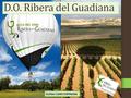 D.O. Ribera del Guadiana ELENA CARO ESPINOSA. LOCALIZACIÓN Se sitúa en la zona suroeste de la península ibérica. Compuesta por las dos provincias mas.