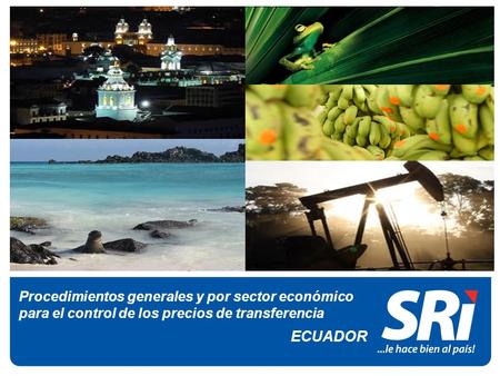 Procedimientos generales y por sector económico para el control de los precios de transferencia ECUADOR.