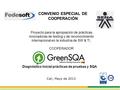 Cali, Mayo de 2013 CONVENIO ESPECIAL DE COOPERACIÓN Proyecto para la apropiación de prácticas innovadoras de testing y de reconocimiento internacional.