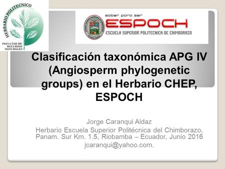 Clasificación taxonómica APG IV (Angiosperm phylogenetic groups) en el Herbario CHEP, ESPOCH Jorge Caranqui Aldaz Herbario Escuela Superior Politécnica.