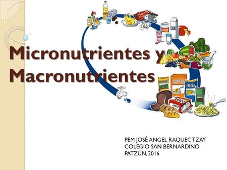 Micronutrientes y Macronutrientes