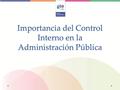 Importancia del Control Interno en la Administración Pública