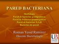 PARED BACTERIANA Morfología Pared de bacterias grampositivas Pared de bacterias gramnegativas Pared de bacterias A.A.R Bacterias sin pared Roman Yesid.
