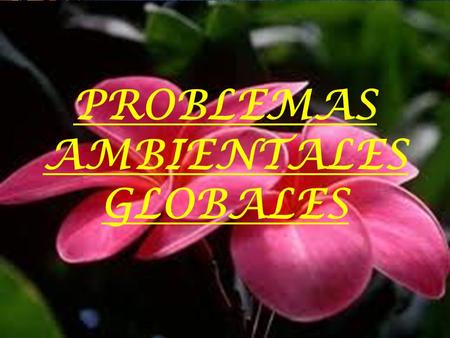 PROBLEMAS AMBIENTALES GLOBALES.  Integrantes:  Amada López  Bessy Padilla  Angelica Díaz  Johanna Berrios  Lesny Martínez  Lurbin Galeano  Ricardo.
