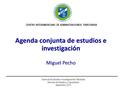 Agenda conjunta de estudios e investigación Miguel Pecho CENTRO INTERAMERICANO DE ADMINISTRACIONES TRIBUTARIAS Gerencia de Estudios e Investigaciones Tributarias.