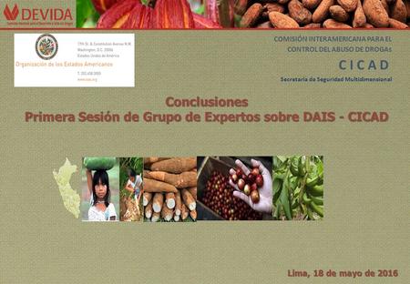 Conclusiones Primera Sesión de Grupo de Expertos sobre DAIS - CICAD Lima, 18 de mayo de 2016 COMISIÓN INTERAMERICANA PARA EL CONTROL DEL ABUSO DE DROGA.