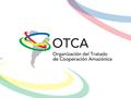 LA AGENDA ESTRATÉGICA DE COOPERACIÓN AMAZÓNICA - CONTEXTO INSTITUCIONAL 2012 II REUNIÓN DE MINISTROS DE MEDIO AMBIENTE DE LA ORGANIZACIÓN DEL TRATADO.