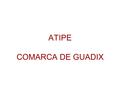 ATIPE COMARCA DE GUADIX. AMBITO UTEDLT IZNALLOZ UTEDLT MARQUESADO UTEDLT GUADIX.